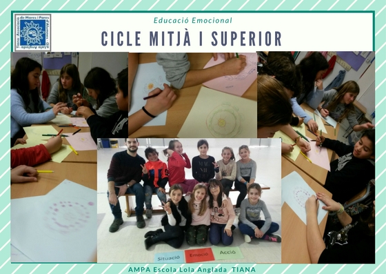 cicle-mitja-i-superior-1